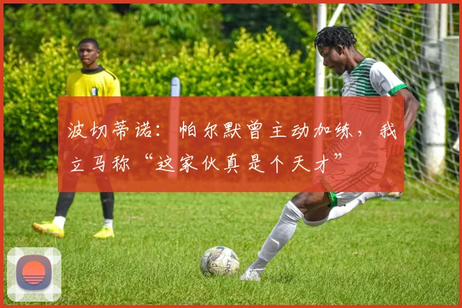 波切蒂诺：帕尔默曾主动加练，我立马称“这家伙真是个天才”